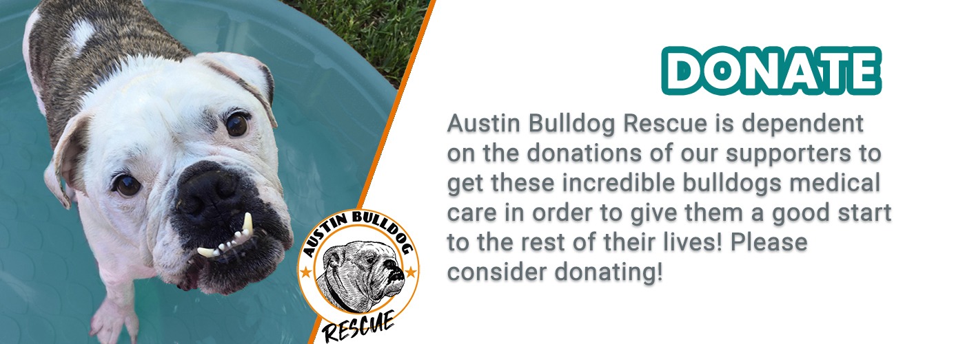 Austin Bulldog Rescue Donate