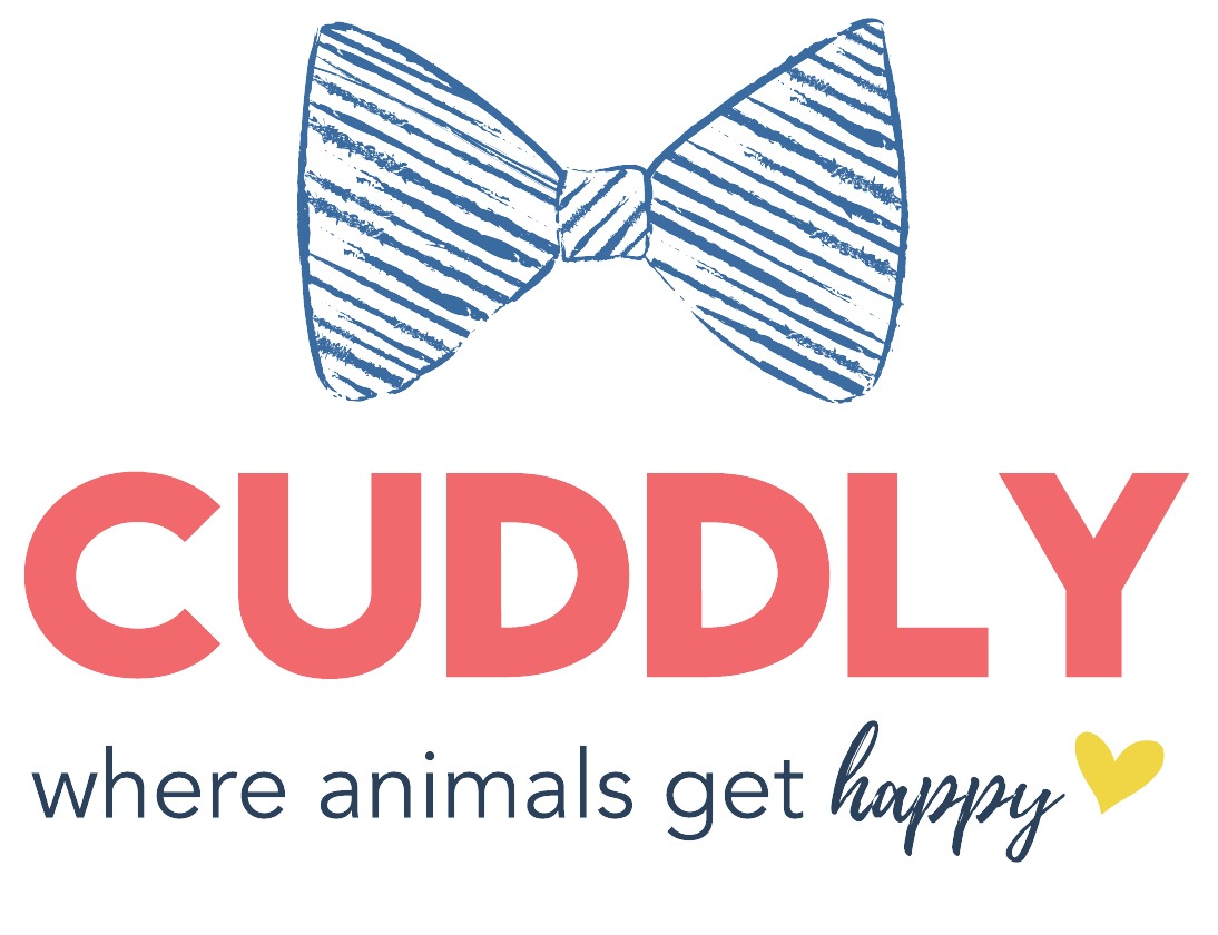 Austin Bulldog Rescue Donate cuddly