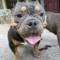 Floyd