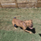 Leroy