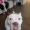 Miss Wiggles
